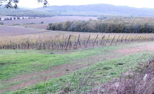 Gavorrano, Toscana, Italia 1