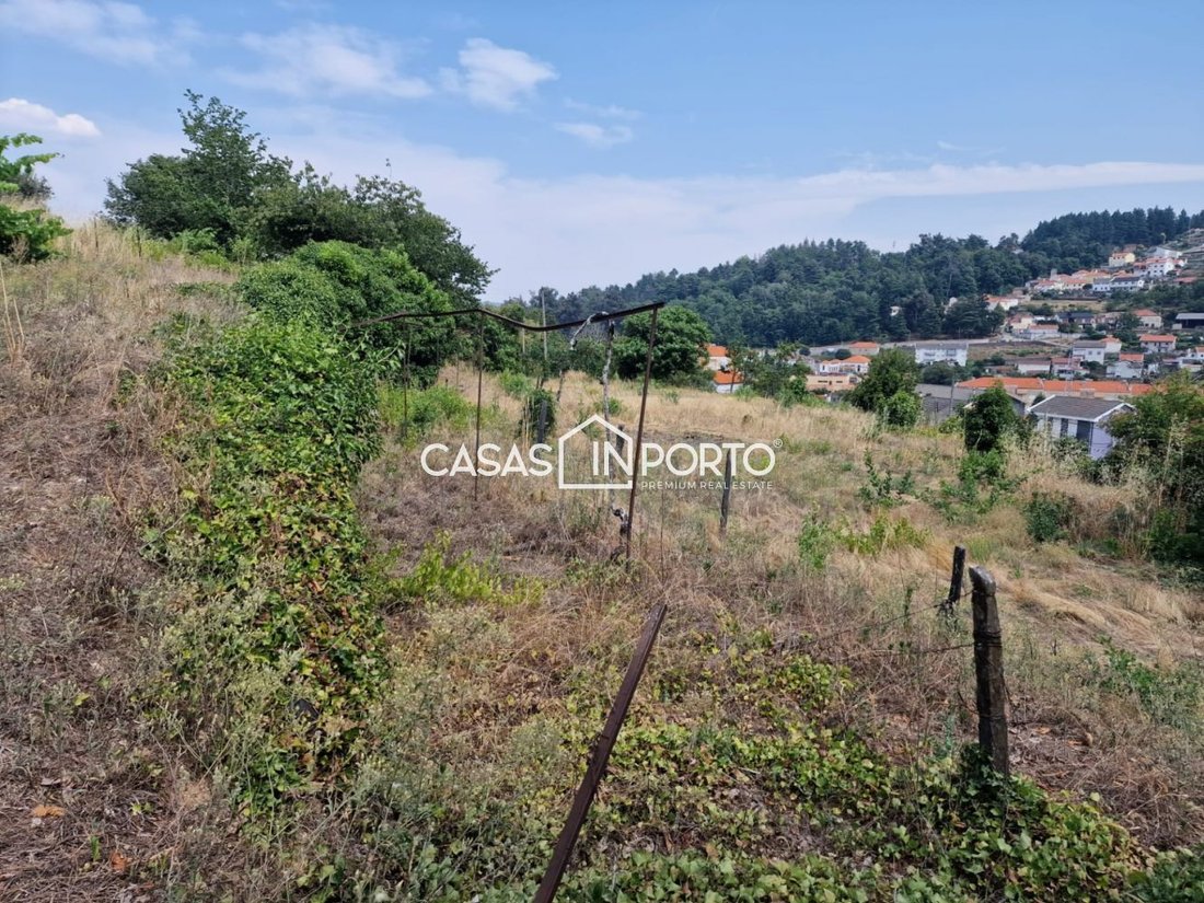 Terreno en Almacave, Distrito de Viseu, Portugal 2 - 13500971