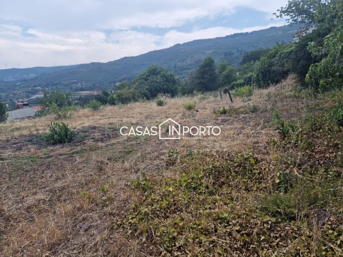 Terreno en Almacave, Distrito de Viseu, Portugal 5 - 13500971
