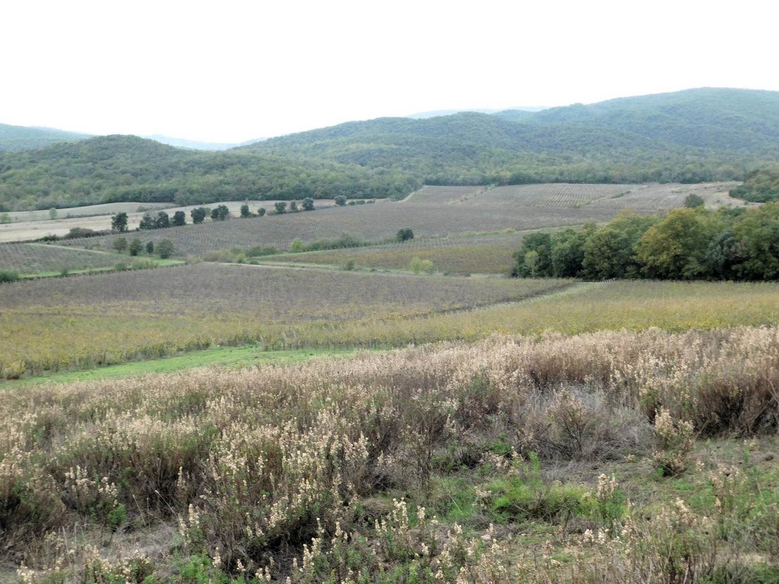 Farm Ranch in Gavorrano, Tuscany, Italy 3 - 13500468