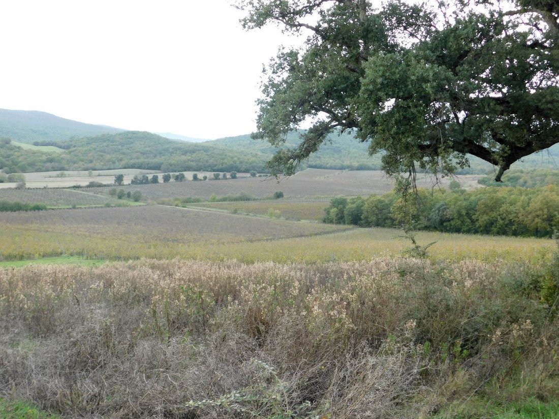 Farm Ranch in Gavorrano, Tuscany, Italy 4 - 13500468