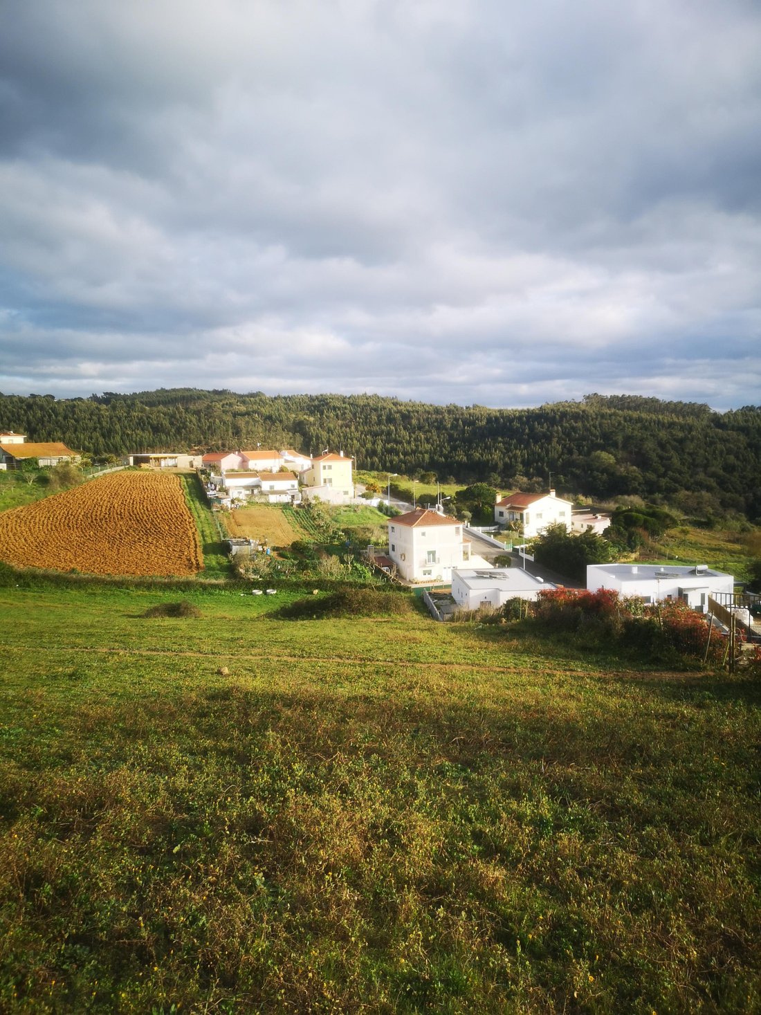 Land Mafra Portugal In Mafra, Lisbon, Portugal For Sale (13501328)