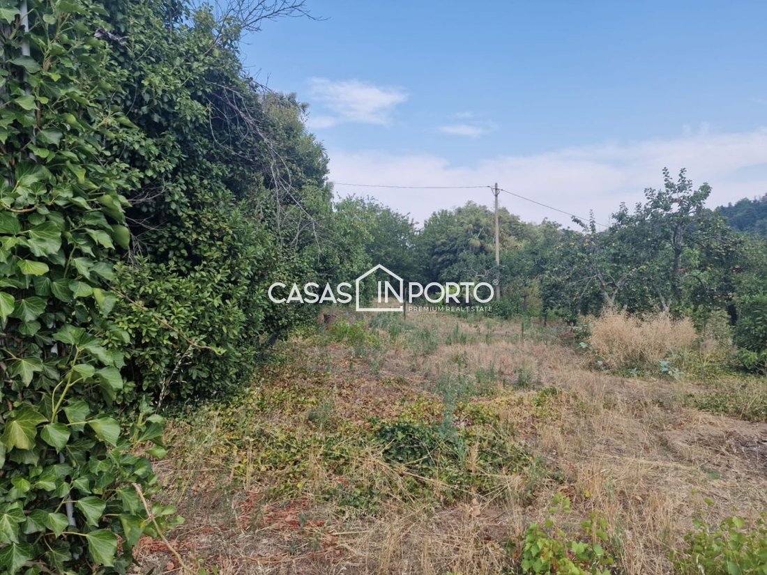 Terreno en Almacave, Distrito de Viseu, Portugal 4 - 13500971