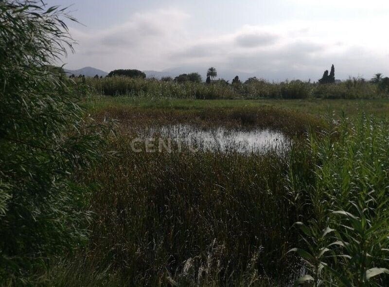 Land In Deveses, Valencian Community, Spain For Sale (13501718)