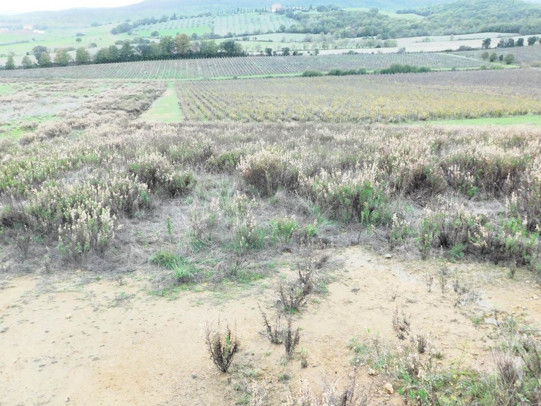 Farm Ranch in Gavorrano, Tuscany, Italy 2 - 13500468
