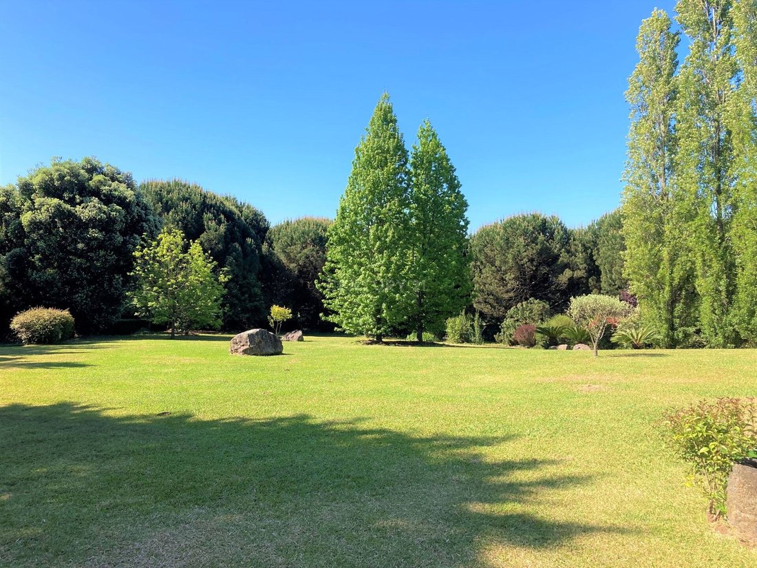 Farm/Ranch Oliveira De In Santiago Da Riba Ul, Aveiro District