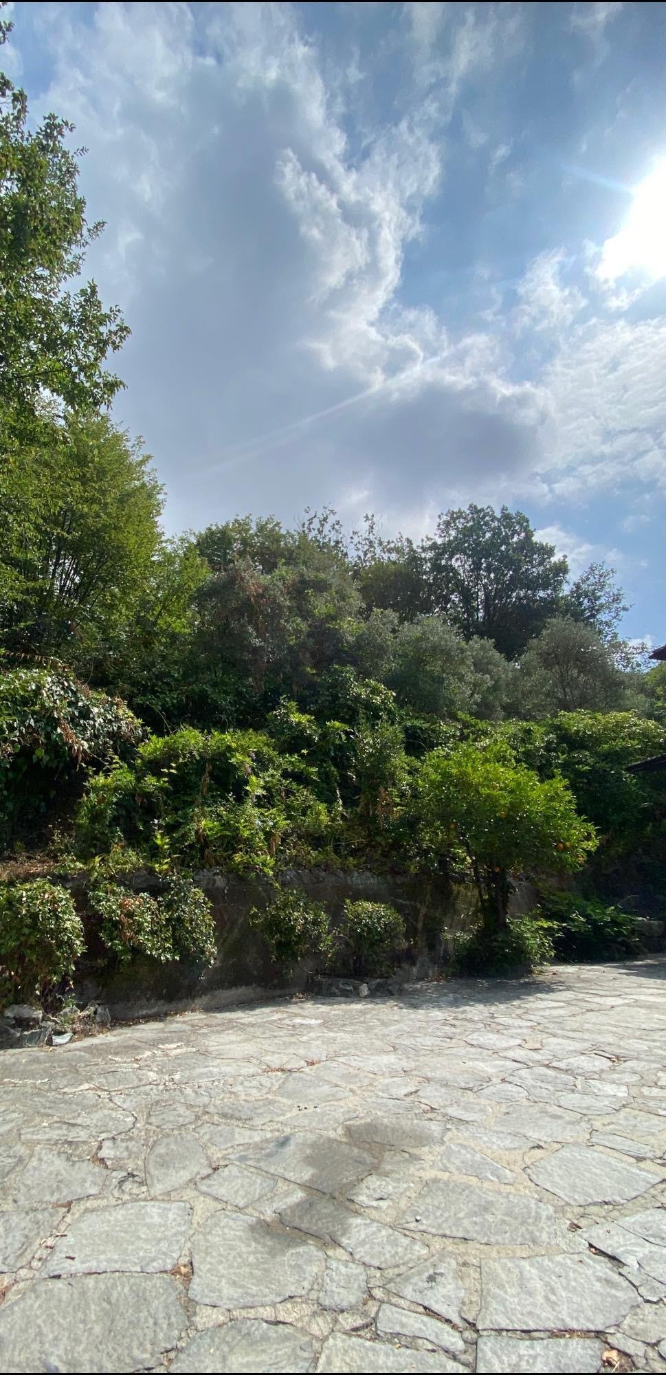 Villa in Fontia-Fossola-Fossone, Marina di Carrara, Tuscany 4 - 13502706