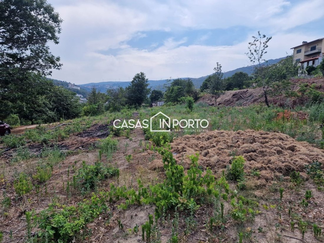 Terreno en Almacave, Distrito de Viseu, Portugal 3 - 13500971