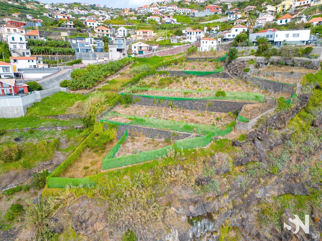 Land On The Front Line And Over The Sea In Ribeira Brava, Madeira