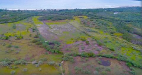 Land in Puerto Plata, Dominican Republic 5 - 13508788