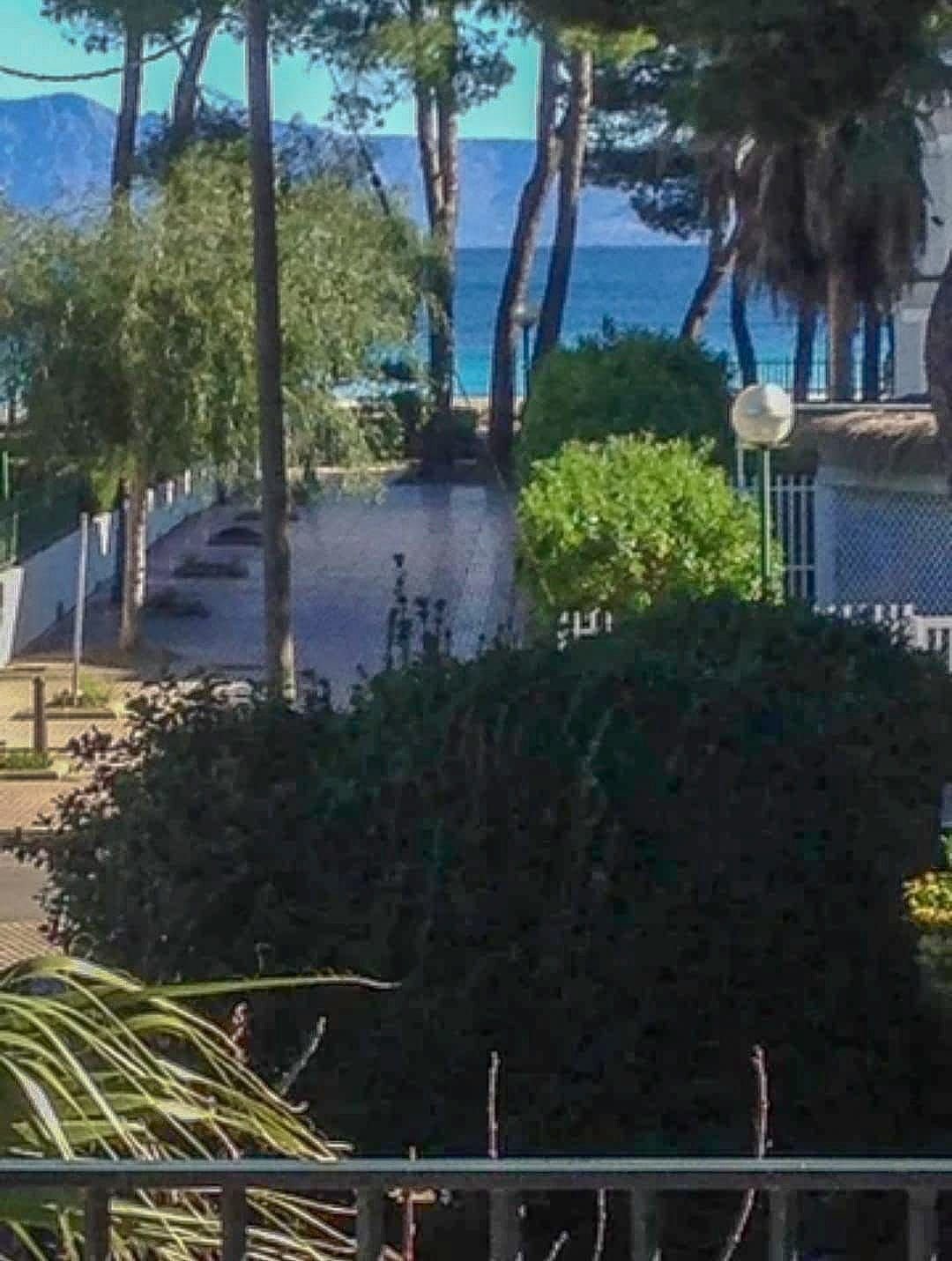 Penthouse à Alcúdia, Îles Baléares, Espagne 4 - 13511675