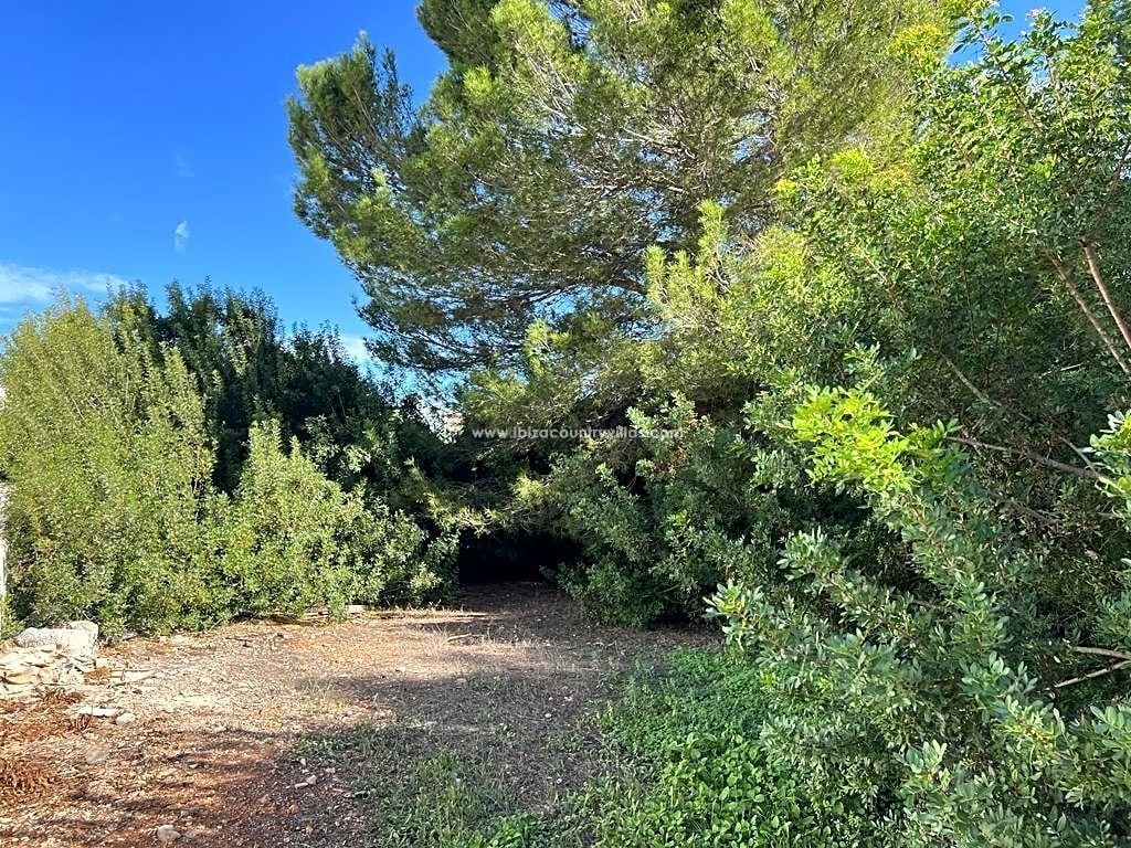 Land in S'Argamassa, Santa Eularia des Riu, Balearic Islands 2 - 13509681