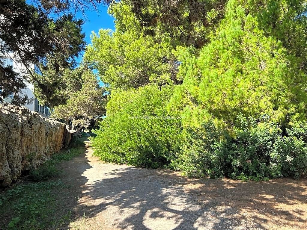 Land in S'Argamassa, Santa Eularia des Riu, Balearic Islands 4 - 13509681