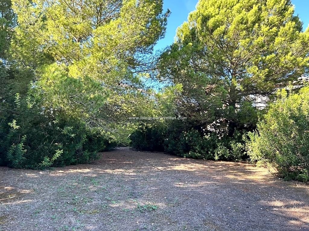 Land in S'Argamassa, Santa Eularia des Riu, Balearic Islands 5 - 13509681