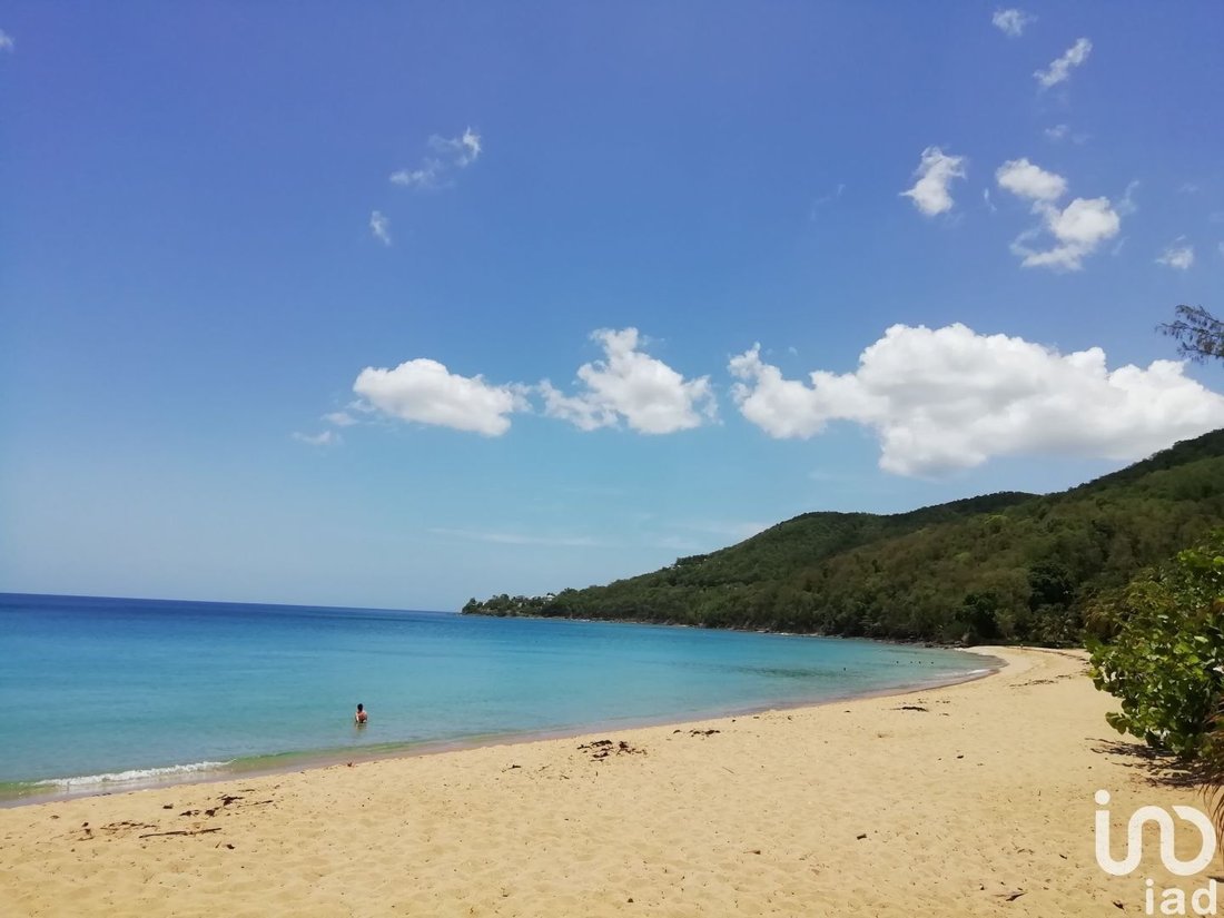 Vente Terrain 6 028 M& In Deshaies, France For Sale (13515140)