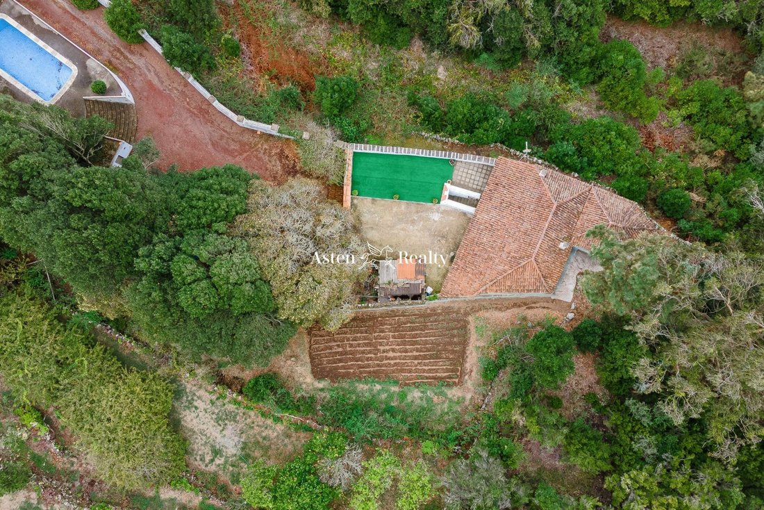 Villa in El Tanque, Canary Islands, Spain 3 - 13524612