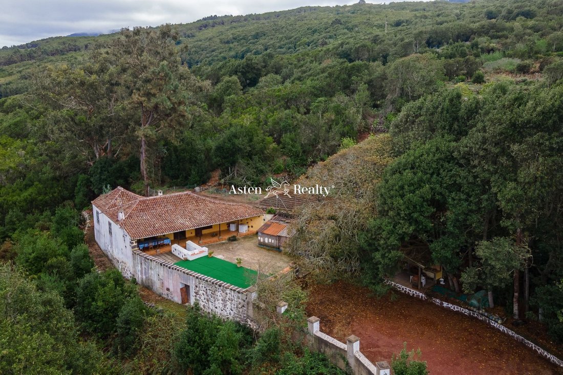Villa in El Tanque, Canary Islands, Spain 5 - 13524612
