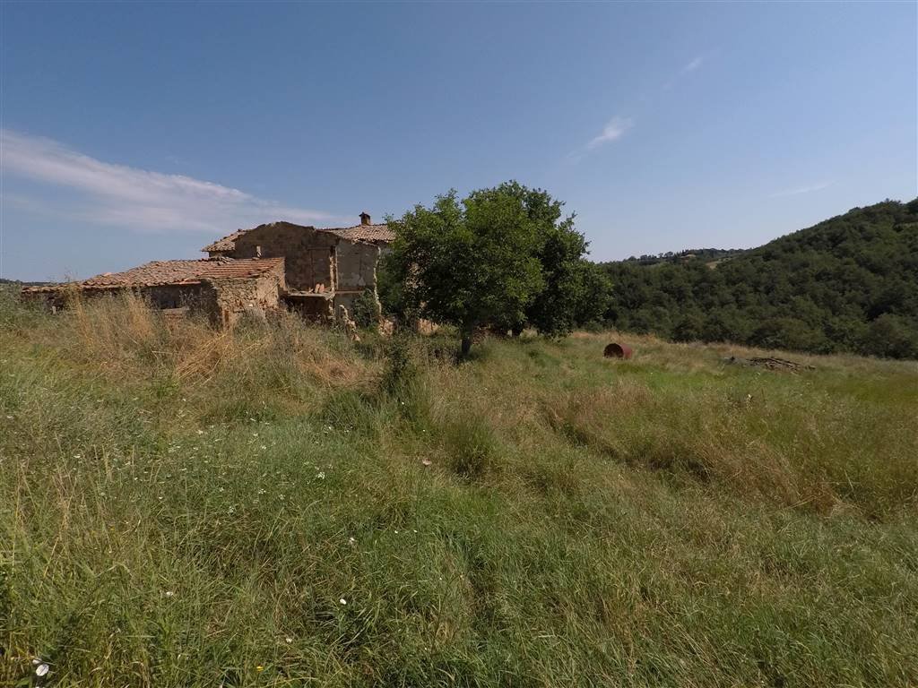 Montepulciano, Tuscany, Italy 1 - 13535963