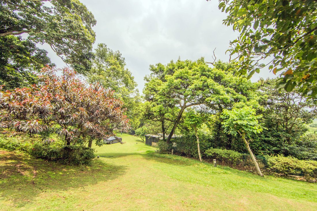 Exceptional Estate In Yangming Mountain In New Taipei City, Taiwan For