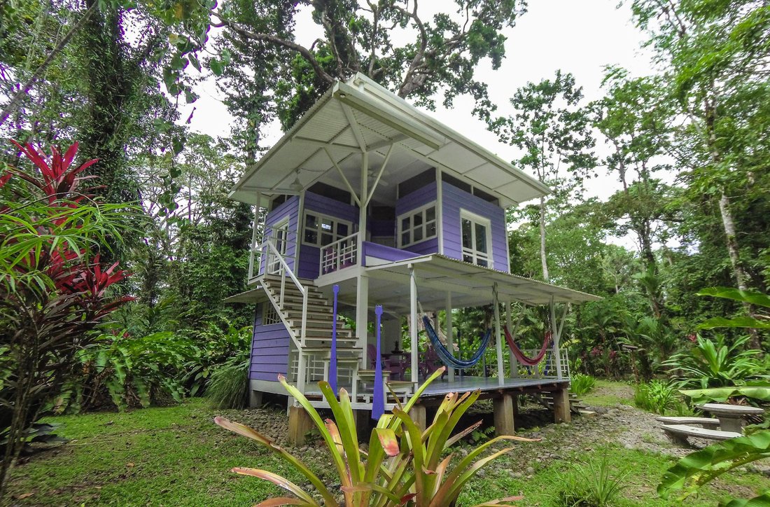 Jungle Garden Near The Beach In Manzanillo, Limón Province, Costa Rica For Sale (13531625)