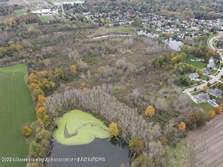 Mason Mi Real Estate