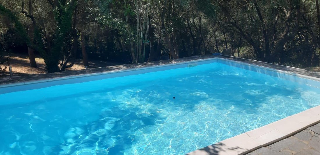 Villa in Collesalvetti, Tuscany, Italy 5 - 13533836