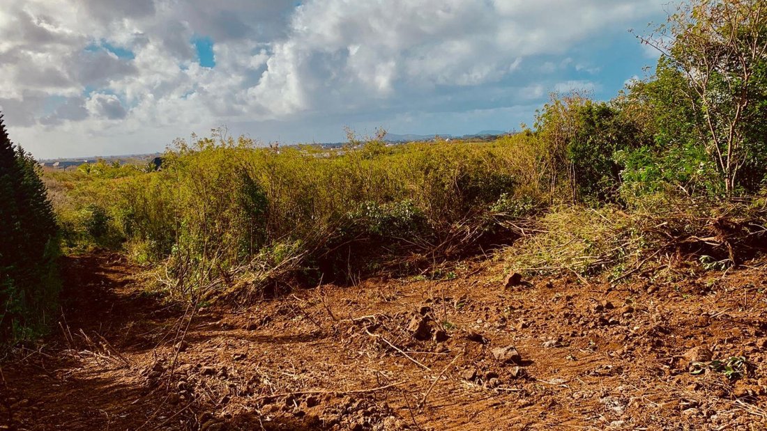 Invest In This Highly In Grand Baie, Rivière Du Rempart District