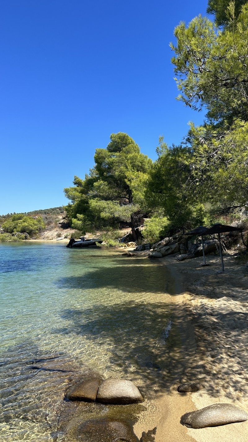 Agricultural In Decentralized Administration Of Macedonia And Thrace