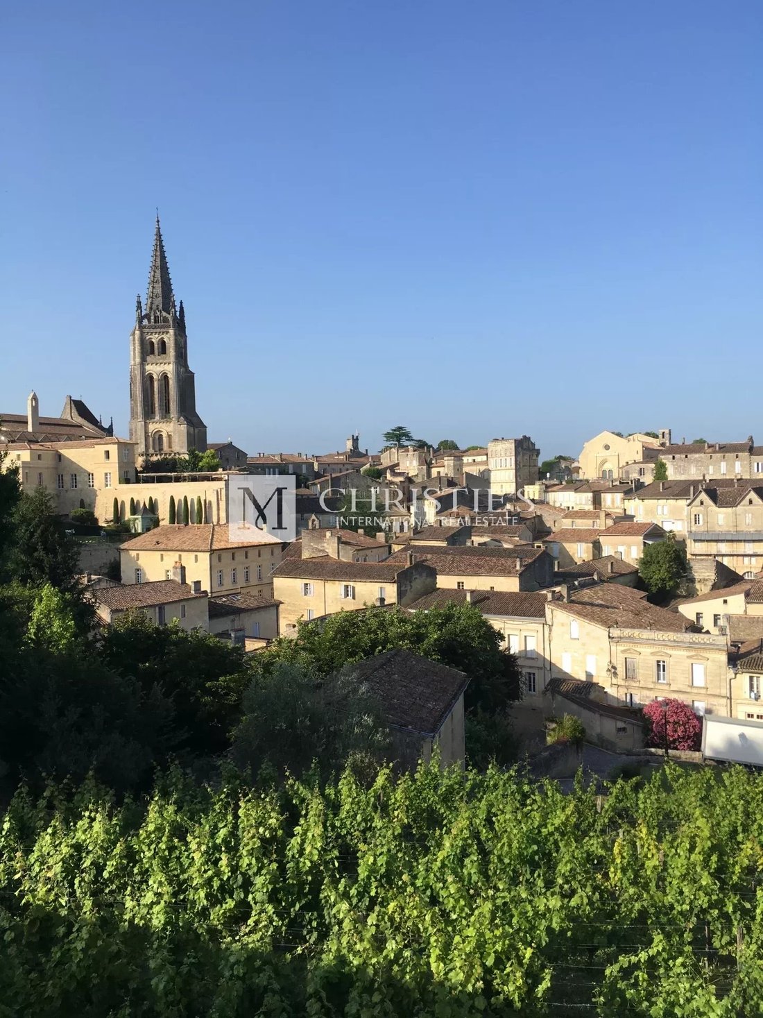 Real Estate Complex To Renovate In En Saint émilion, Nueva Aquitania