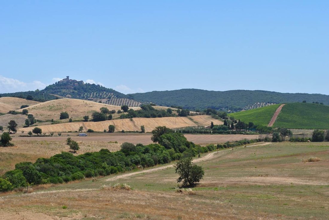 Capalbio, Tuscany, Italy 1 - 13536924
