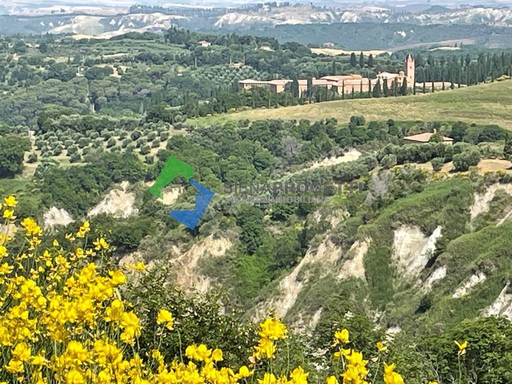 House in Asciano, Tuscany, Italy 2 - 13537146