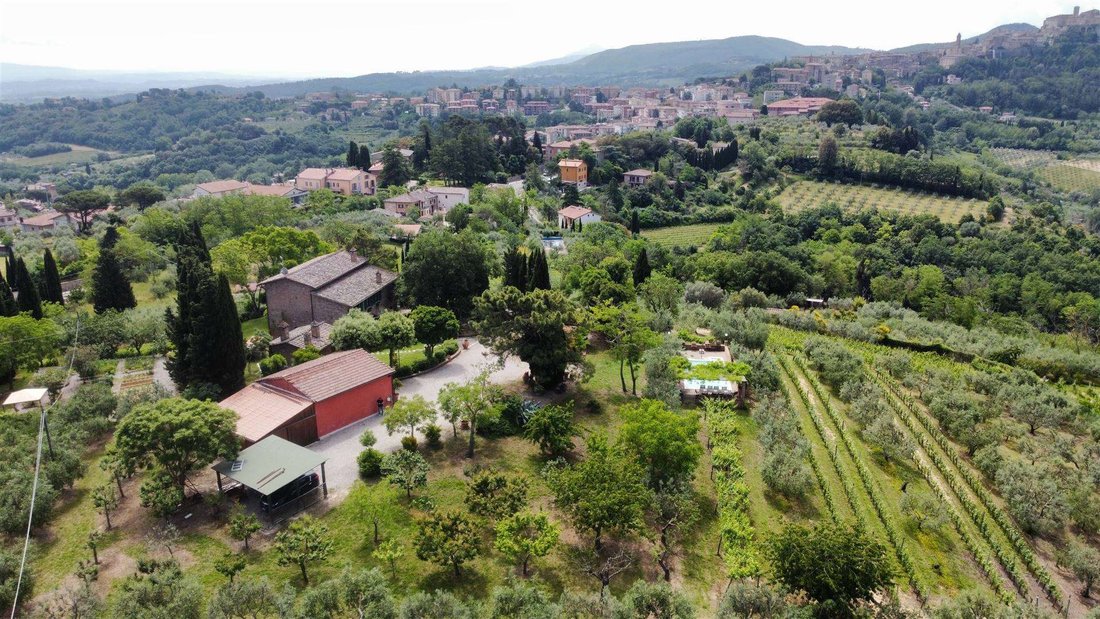 Montepulciano, Tuscany, Italy 4 - 13540033