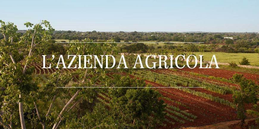 Farm Ranch in Capalbio, Tuscany, Italy 1 - 13536922