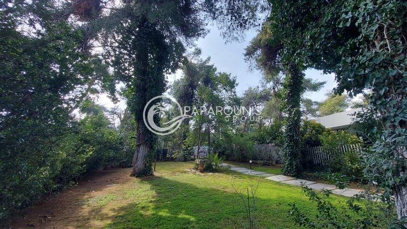 House in Ekali, Attica, Greece 5 - 13537222
