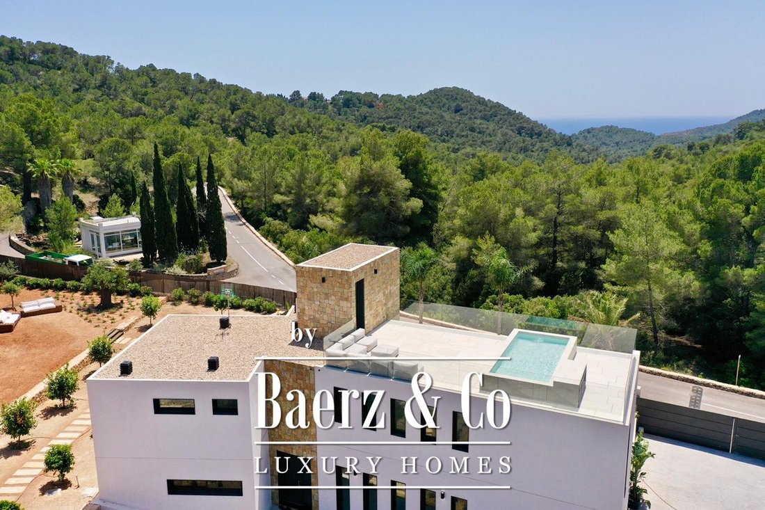 Villa in Roca Llisa, Santa Eularia des Riu, Balearic Islands 4 - 13537125