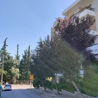 Apartment in 1st District of Thessaloniki, Thessaloniki, Greece 4 - 13540485