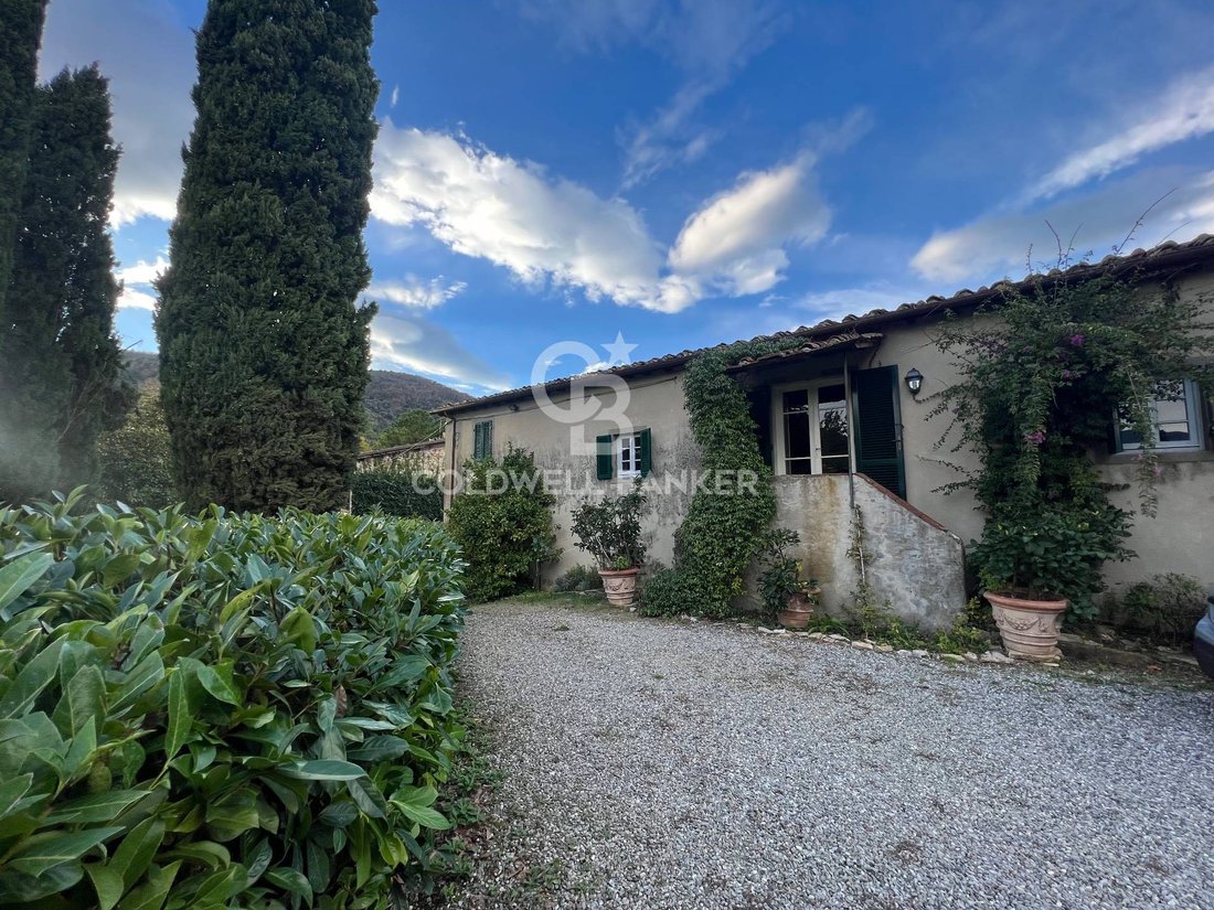Villa in Saint Mary del Giudice - San Lorenzo a Vaccoli, Lucca, Tuscany 4 - 13542260