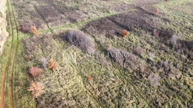 Land in Umag, Istria County, Croatia 5 - 13541532