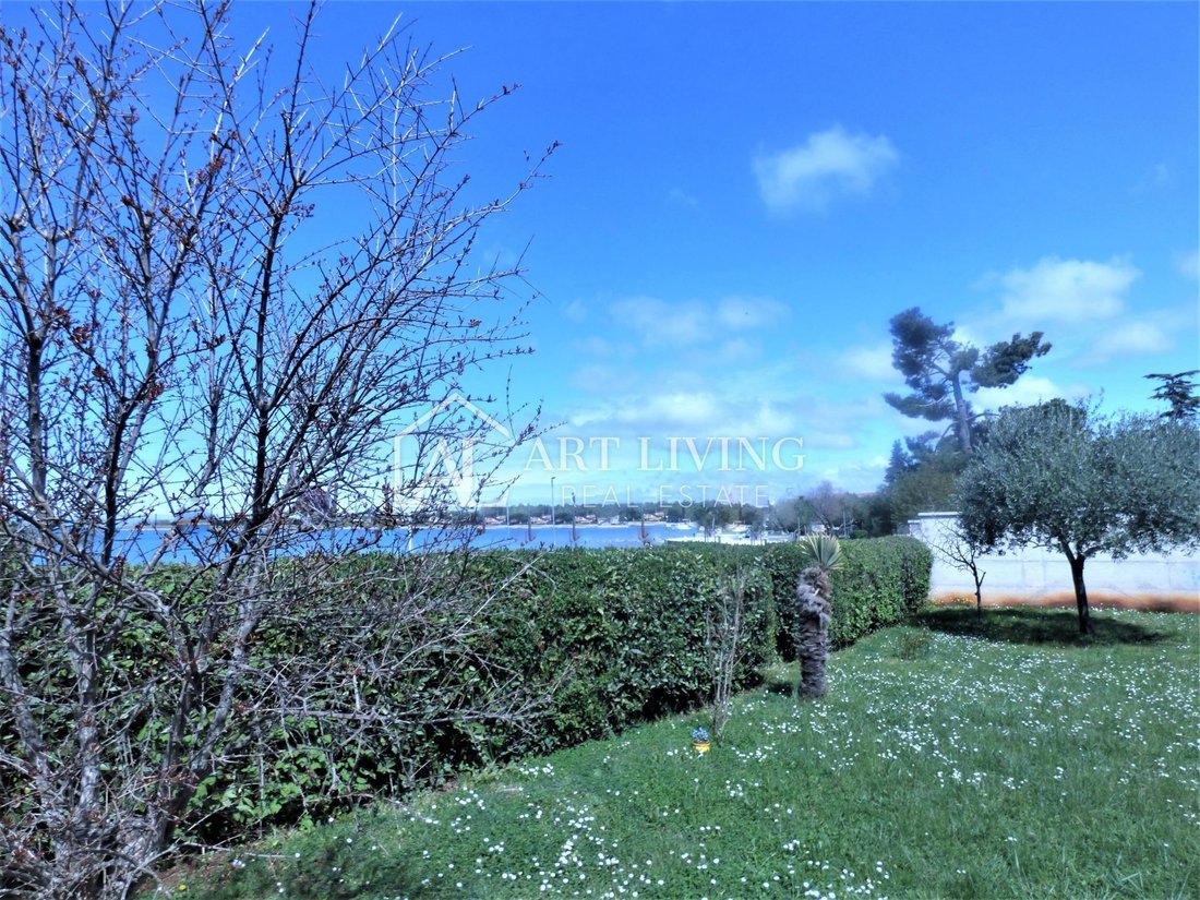 House in Novigrad, Istria County, Croatia 3 - 13542434