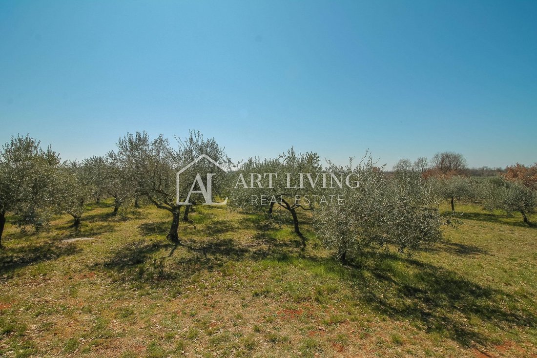 Land in Novigrad, Istria County, Croatia 5 - 13542566