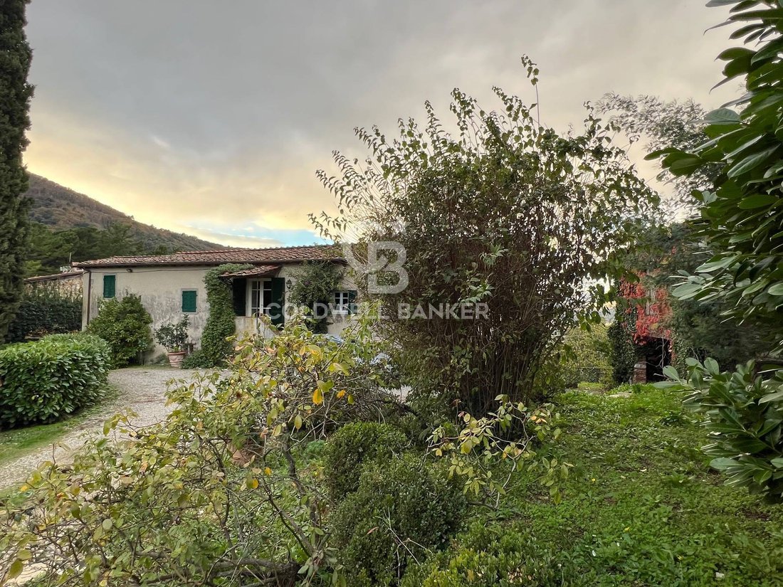 Villa in Saint Mary del Giudice - San Lorenzo a Vaccoli, Lucca, Tuscany 2 - 13542260