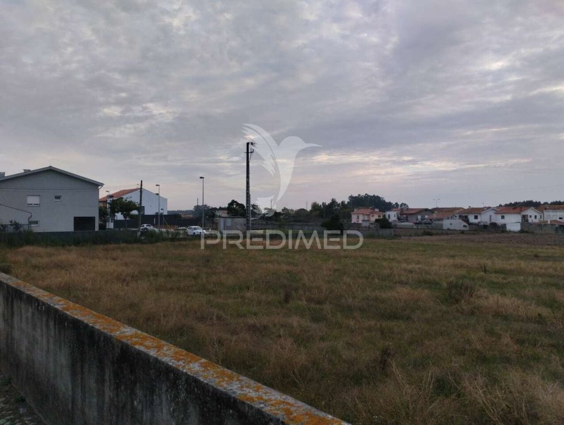 Land in Povoa de Varzim, Beiriz e Argivai, Porto District, Portugal 4 - 13544131