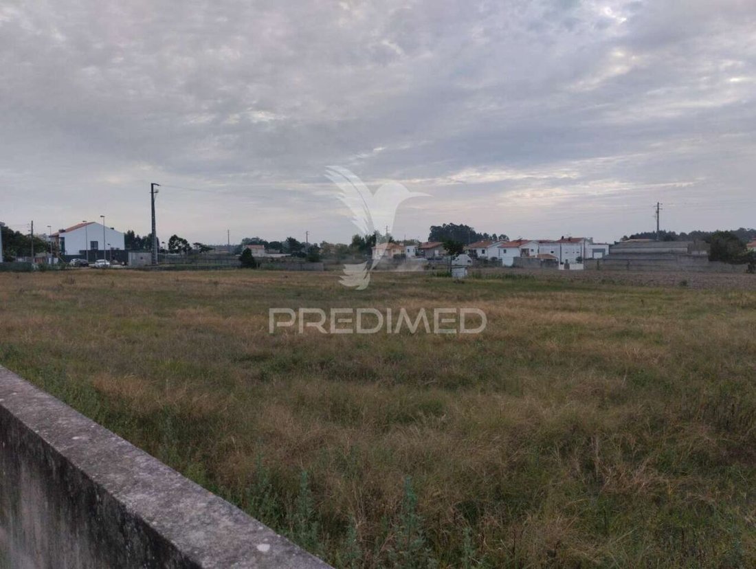 Land in Povoa de Varzim, Beiriz e Argivai, Porto District, Portugal 2 - 13544131