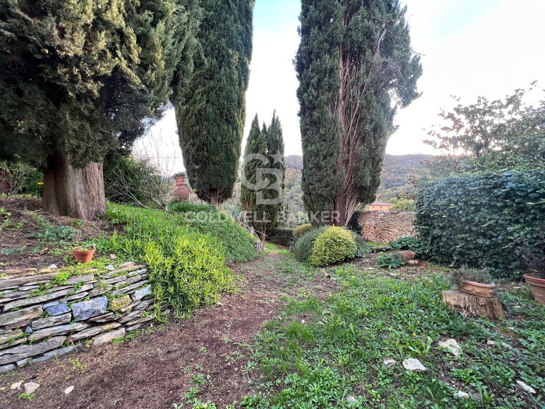 Villa in Saint Mary del Giudice - San Lorenzo a Vaccoli, Lucca, Tuscany 5 - 13542260