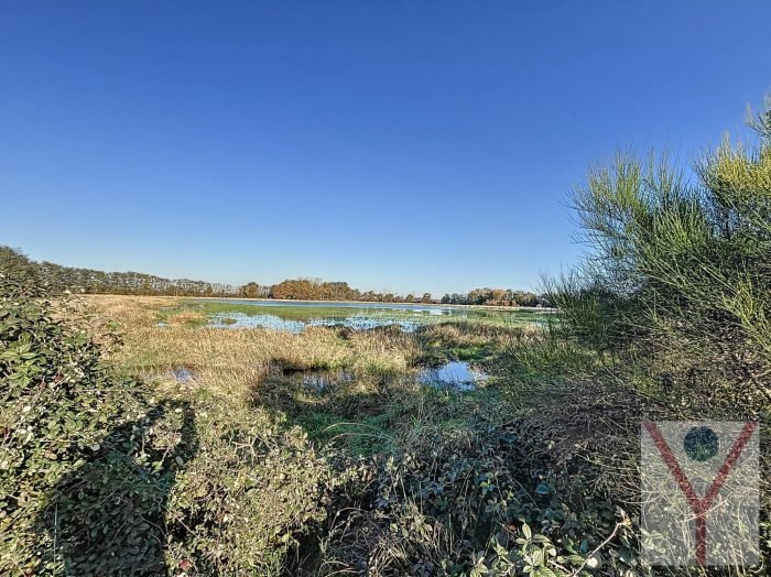 Le Plantay Etang In Le Plantay, Auvergne Rhône Alpes, France For Sale