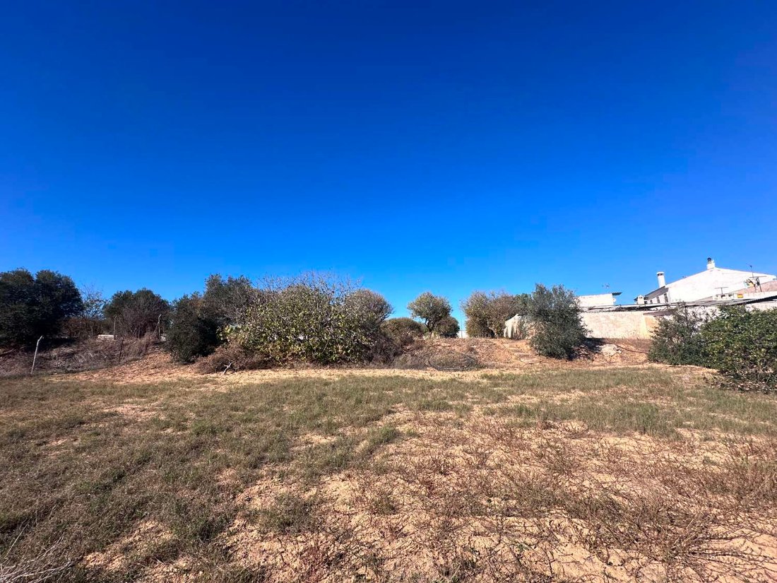 Land in Alhaurin de la Torre, Andalusia, Spain 5 - 13342078
