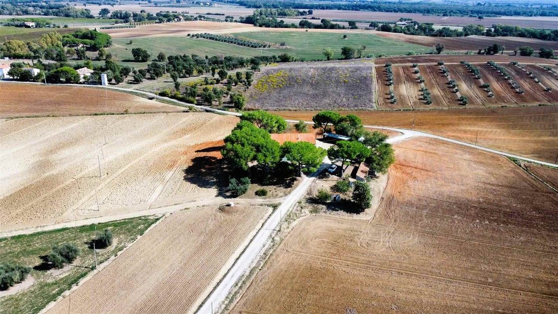 Roccastrada, Tuscany, Italy 1 - 13546082