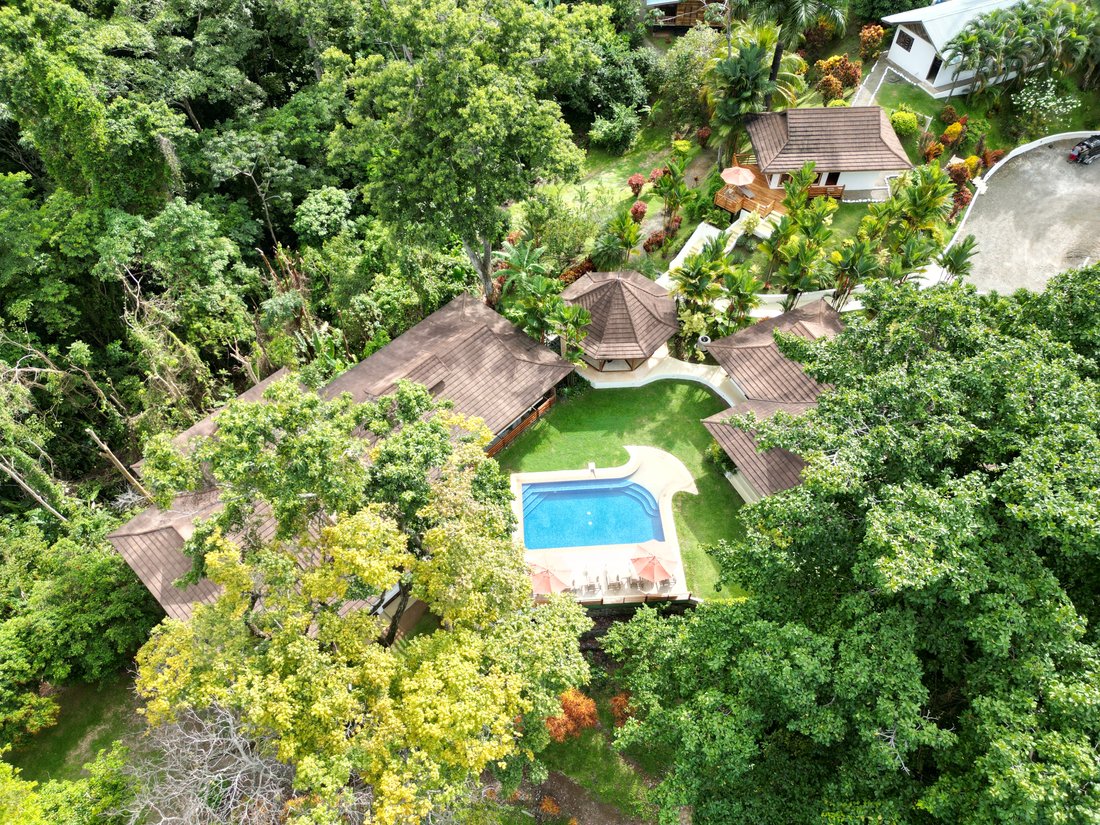 Luxury Villa With Golf Course And Ocean In Cahuita, Limón Province