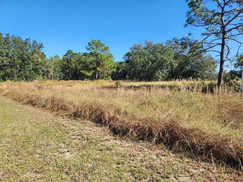 Land in Longwood, Florida, United States 2 - 13551841