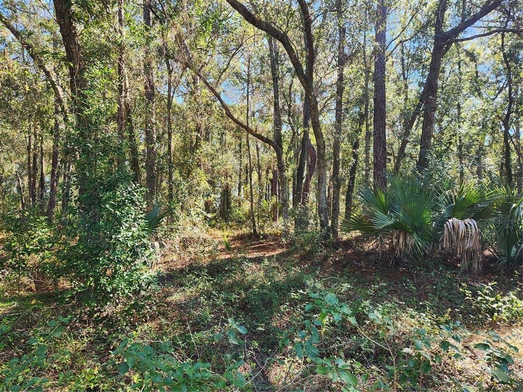 Land in Longwood, Florida, United States 3 - 13551841